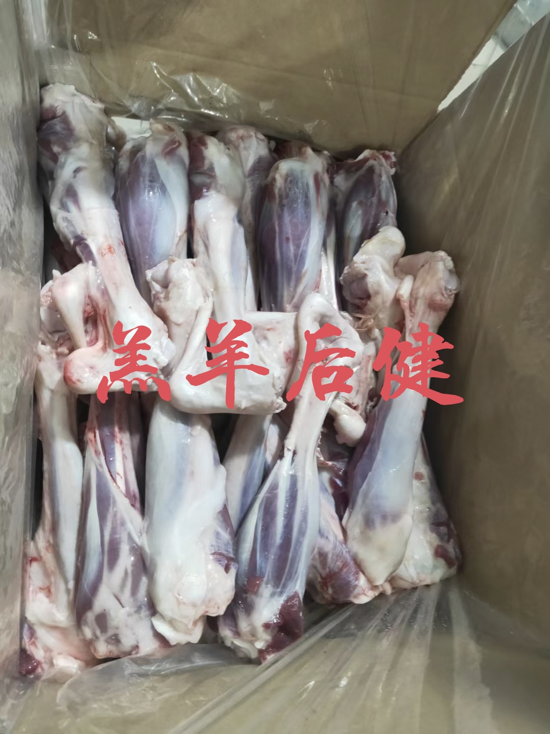 【羔羊后小腿】当地草原羊的新货带拐筋，质保鲜嫩易烂！红焖炖烤