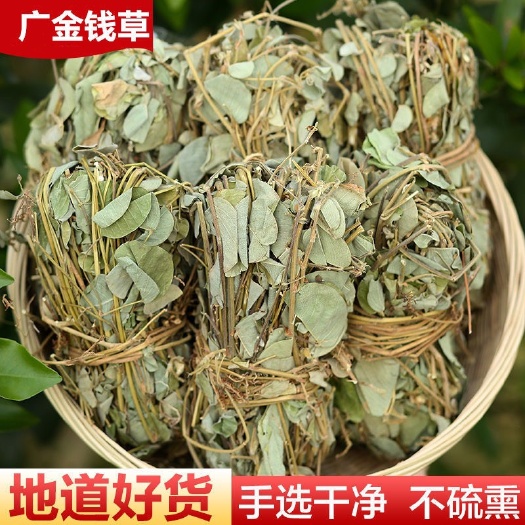 今年新货大叶金钱草，广金钱草，扎把金钱草，切金钱草各种规格