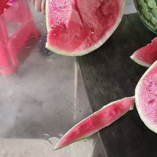 宁夏硒砂瓜,石缝瓜产地供货,金城武