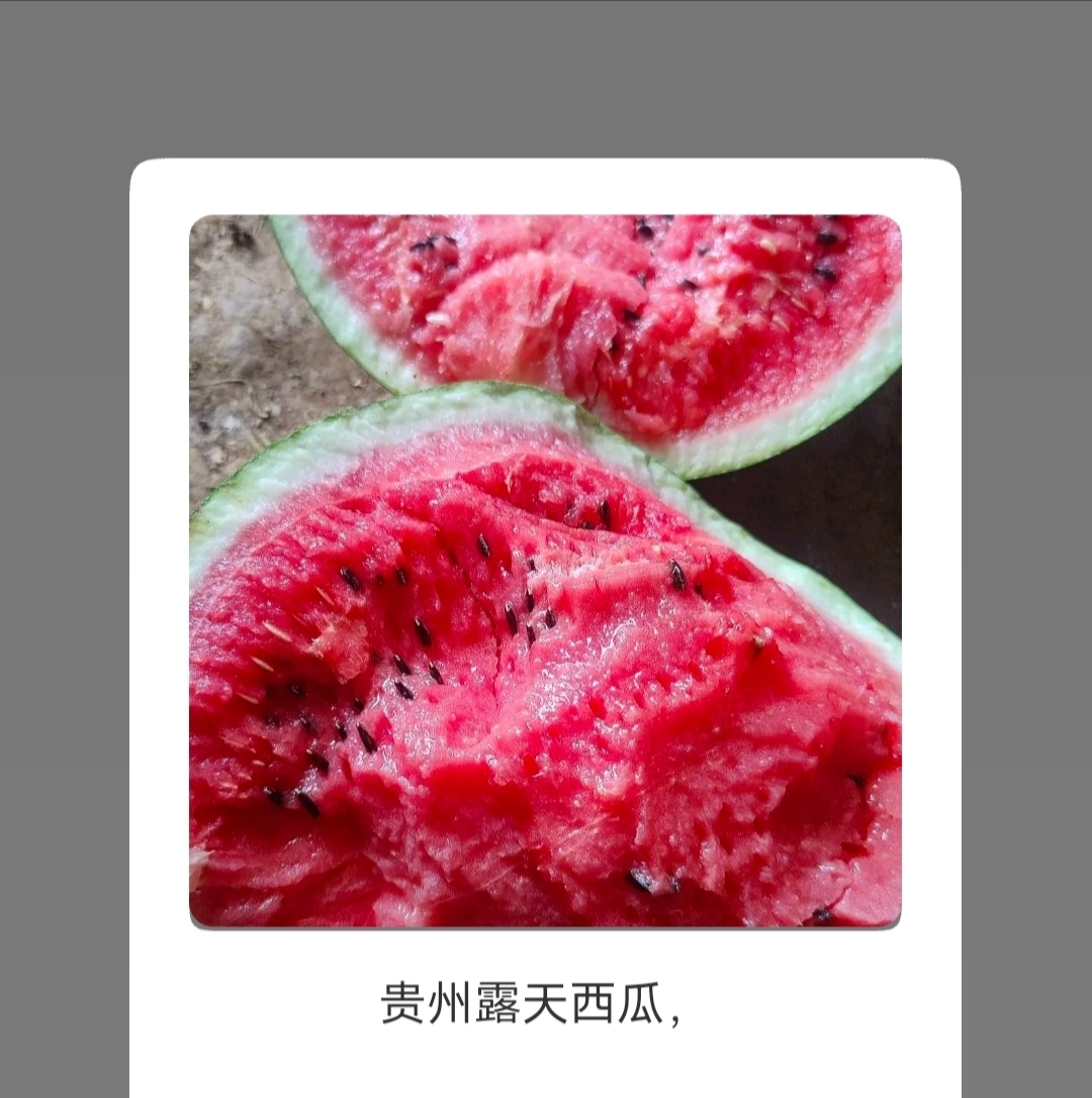 地雷西瓜
