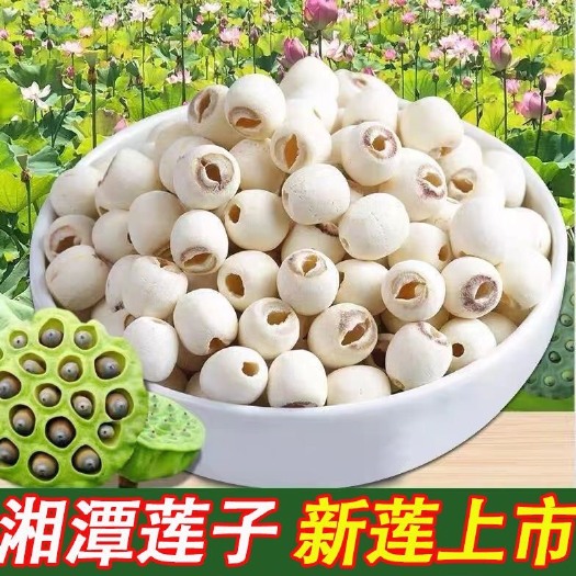 沈阳莲子干货特级无硫野生莲子新鲜磨皮去芯白莲子特级天然正宗批发