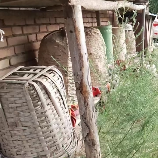 清水县自己家的土蜂蜜