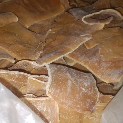 英德市麻竹笋生笋，笋干，笋花