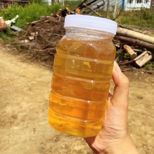 桦南县土蜂蜜 纯蜂蜜