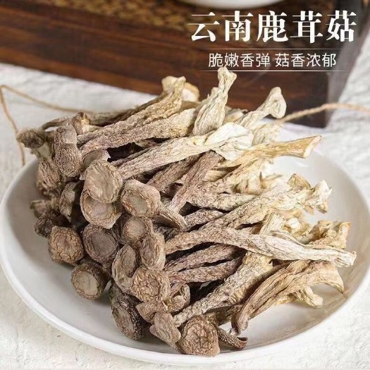 古田县鹿茸菌新货鹿茸菇无硫新鲜香菇干货福建特产鹿茸菇可批发煲汤食材