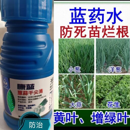 兰陵县小蓝瓶蓝药水大蒜洋葱大葱防干尖黄叶死苗烂根上色增绿叶专用药