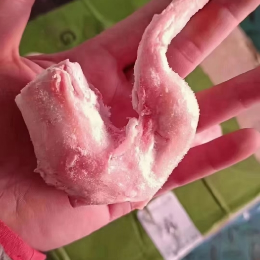 郑州羊拐筋，羔羊拐筋，大羊拐筋，现货实拍，纯干货，筋长价优。