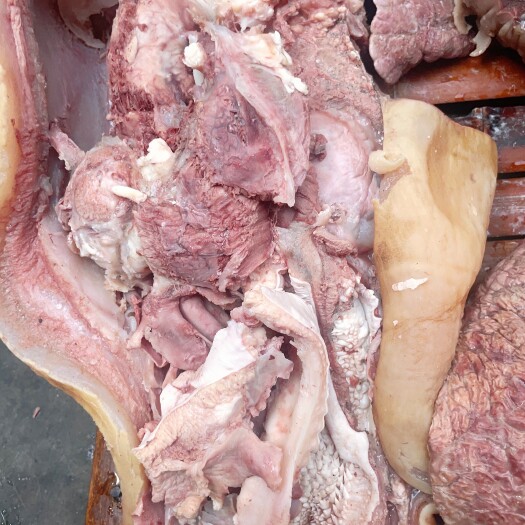 博爱县精品牛头肉，精修去油去淋巴