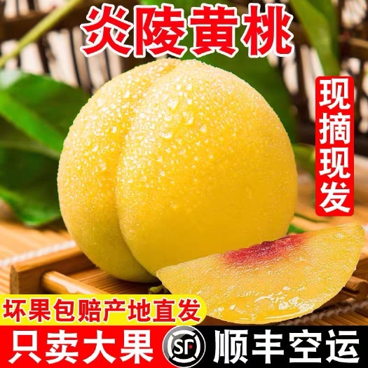 炎陵县炎陵高山黄桃 送礼 孕妇吃 顺丰包邮