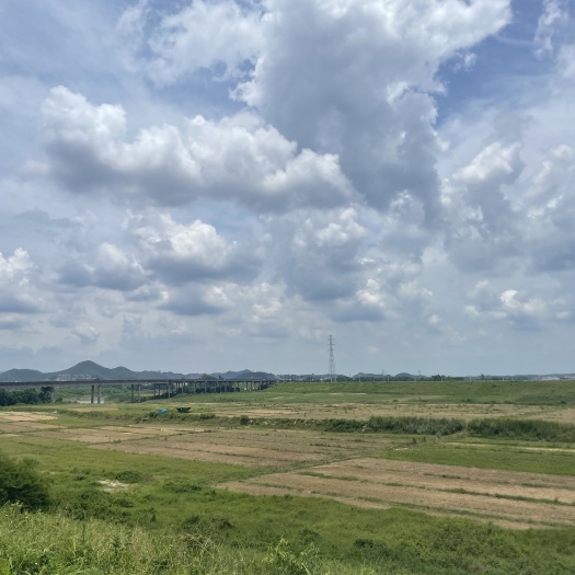 肇庆旱地，荒地，河滩地