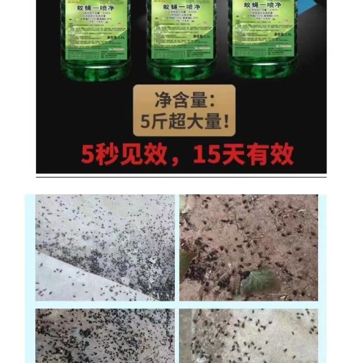 邹城市蚊蝇净，五秒见效，超大包装