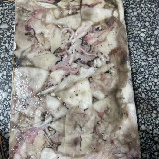 吴川市饲料鲜鱿鱼肉