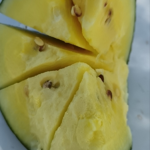 五常市四季小凤