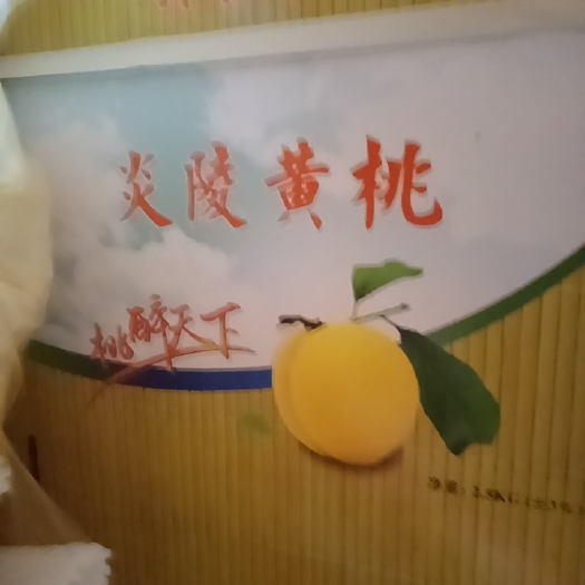 炎陵县锦绣黄桃