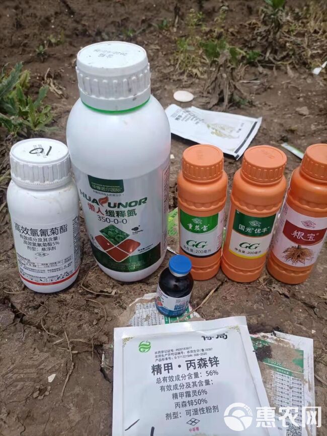 液体氮肥缓释氮肥替代尿素使用的追肥促进生长茎秆粗壮