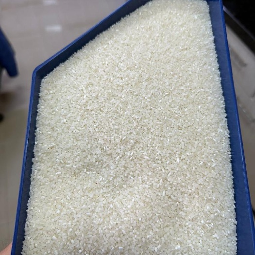 成都印度碎米 期货仓库直发