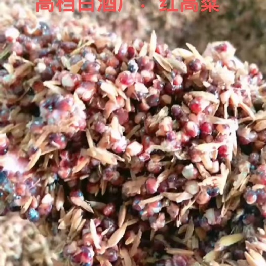 惠东县5毛钱一斤的饲料，喂养鸡鸭鹅一级棒。