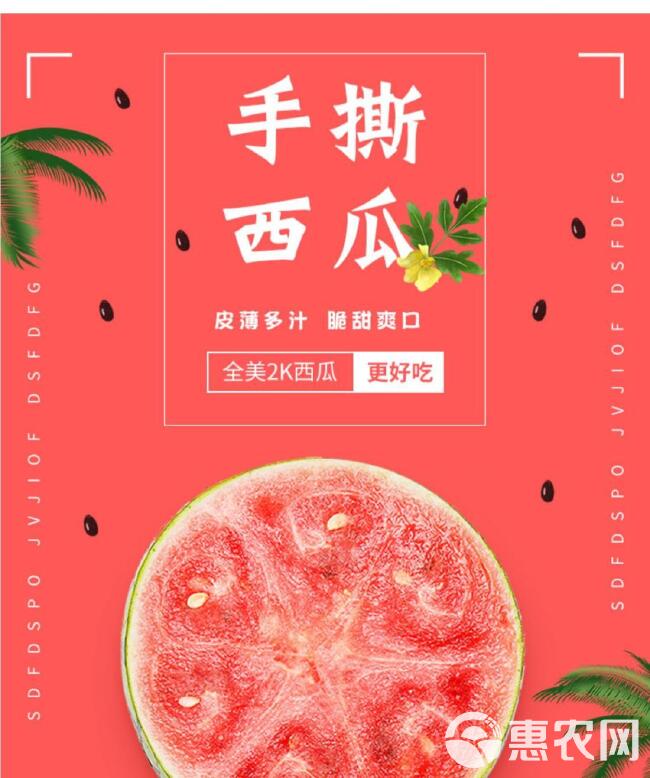 薄皮8428麒麟西瓜当季现摘新鲜早熟超甜西瓜水果