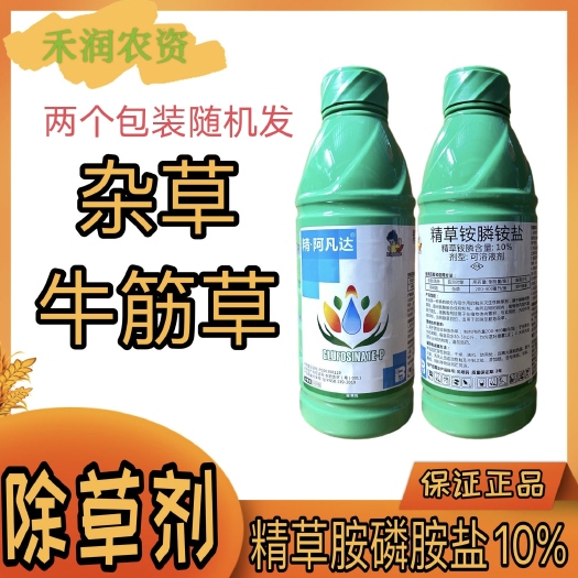滨州盈辉 精·阿凡达10%精草铵膦钠盐 除牛筋草杂草小飞蓬果园除