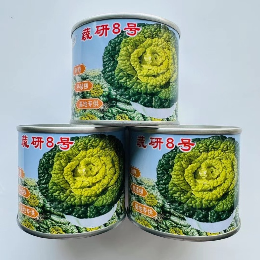 疏研8号黄心乌菜种子 耐寒黄心乌菜种子
