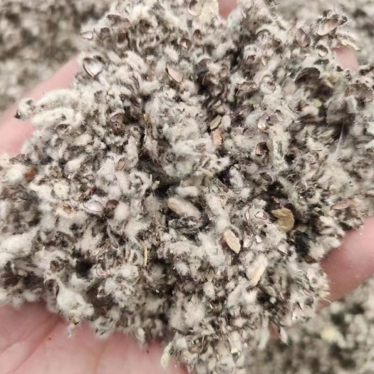昌吉市新疆优质棉籽壳 /棉壳价格最新行情