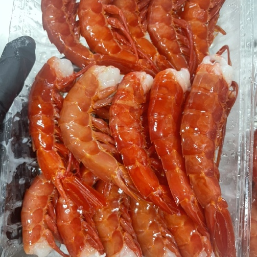 北海红魔虾虾尾