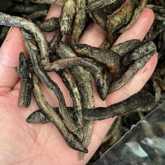 油炸贡鱼，油炸泥鳅