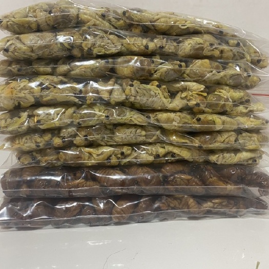 南京竹蝉 竹白蝉，竹金蝉