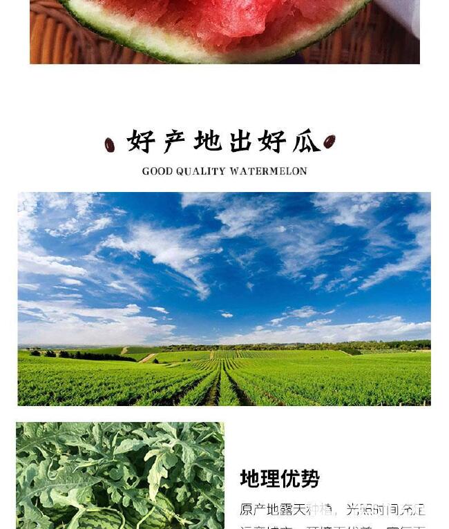 薄皮8428麒麟西瓜当季现摘新鲜早熟超甜西瓜水果