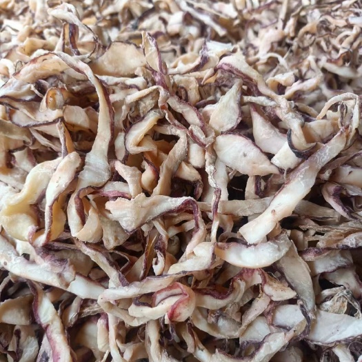 广州鱿鱼干鱿鱼条批发整箱干货边角料跑江湖摆地摊货源批发鱿鱼丝干