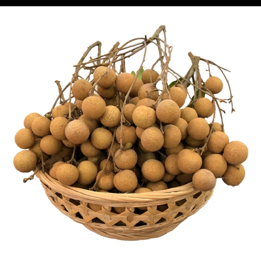 德庆县新鲜广东石硖龙眼