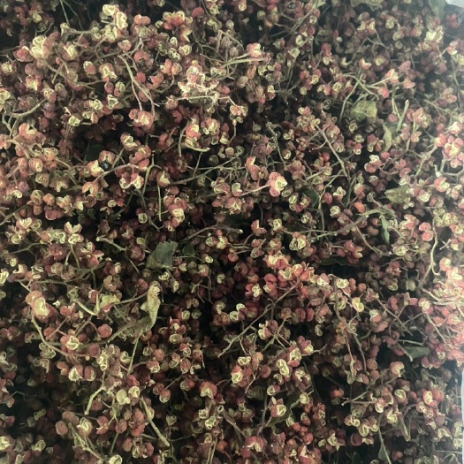 芮城县大红袍花椒