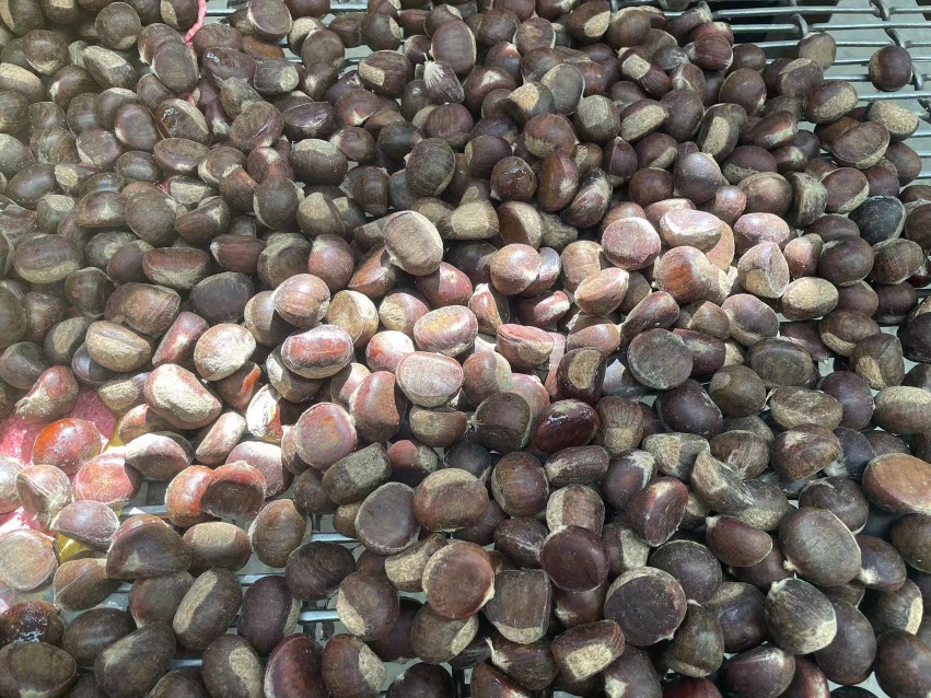 迁西板栗地直发货源充足稳定规格齐全软糯香甜