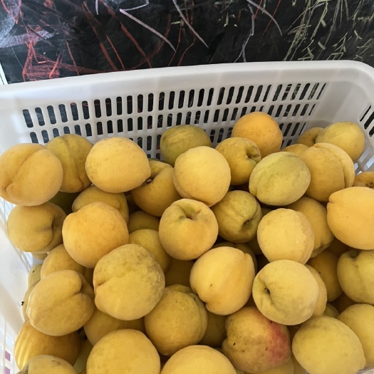 洪湖市湖北锦绣黄桃