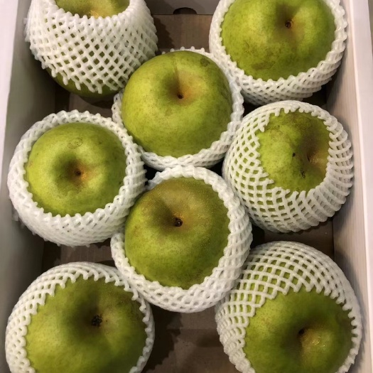 砀山县砀山梨（青皇冠）（脆玉）（酥梨）（秋月）山东红富士
