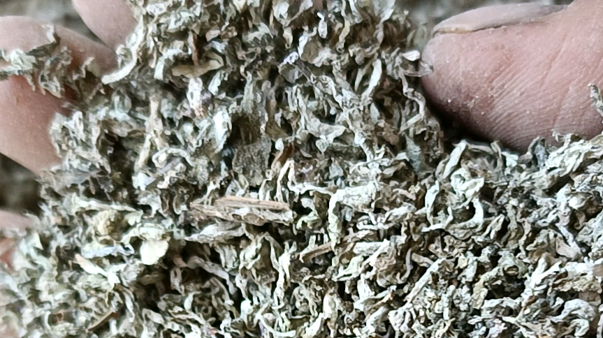 藤茶莓茶精选嫩叶非张家界农家自制特产润喉长寿白茶甘露茶养生茶