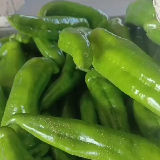 定边县货源充足，