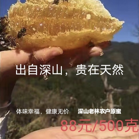北川县深山中蜂百花蜜