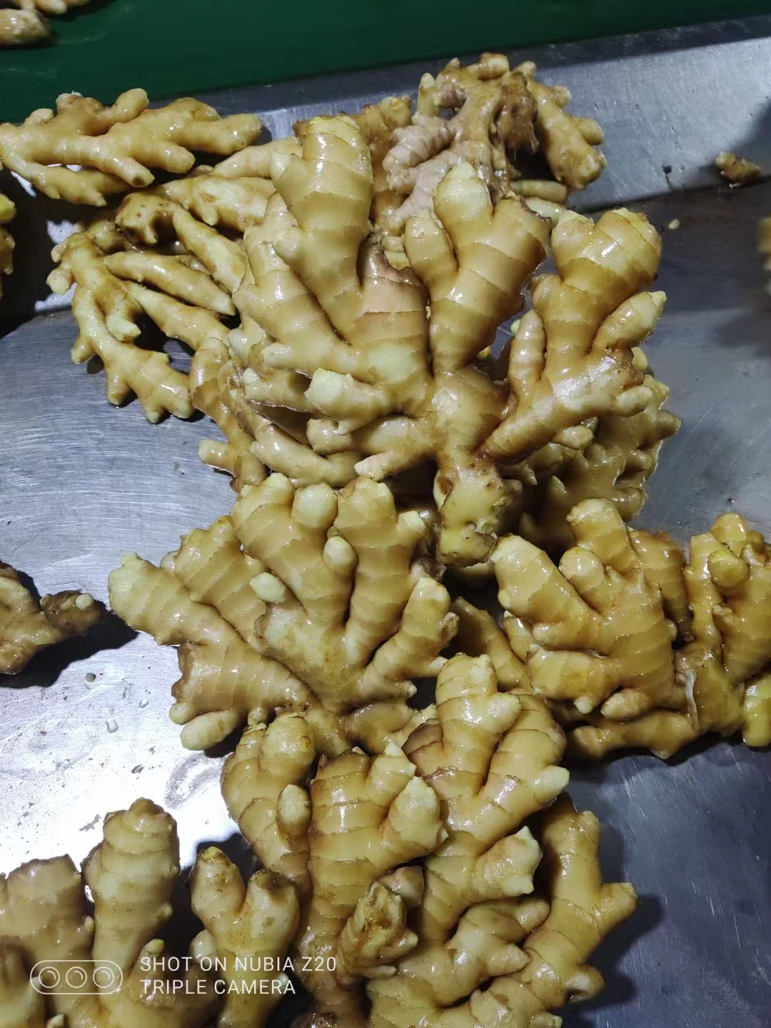 【水洗姜/泥姜/风干姜】 小黄姜 坏烂包赔 全国物流专线代发