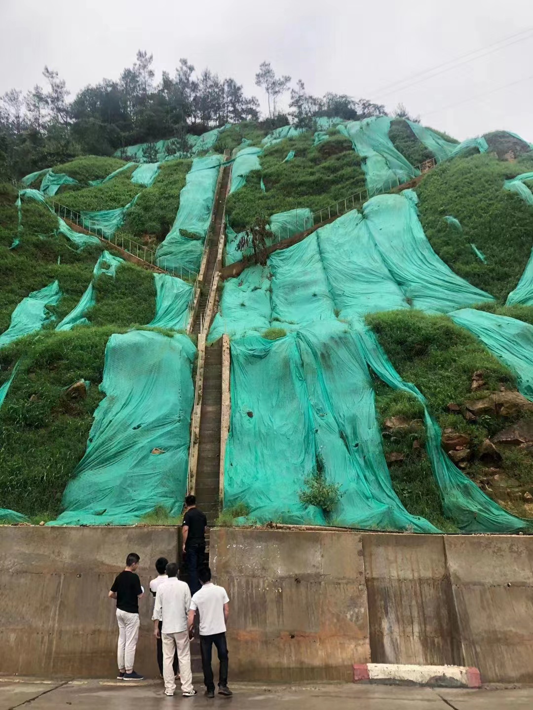 育苗布矿山布无纺布