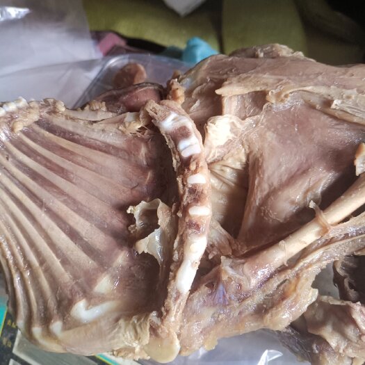 菏泽0.7到一斤半熟羊前腿和后腿适合烤羊腿