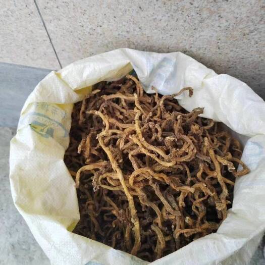 隆回县玉竹