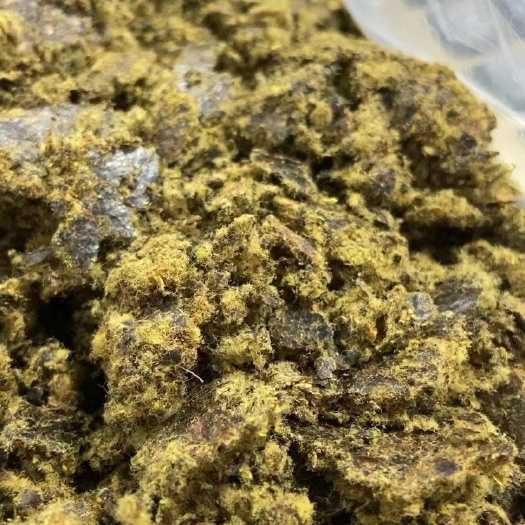 正定县新疆优质棉籽饼