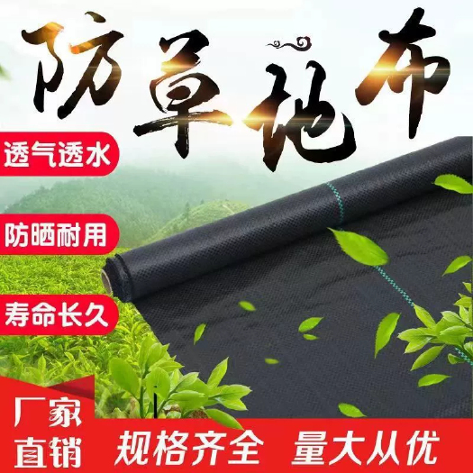 防草布除草布果园林园艺抑草布透气透水农用大棚加厚抗老化遮草布