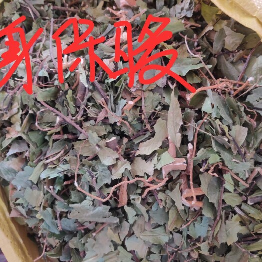 玉林瑶药一身保暖，保暖风，i