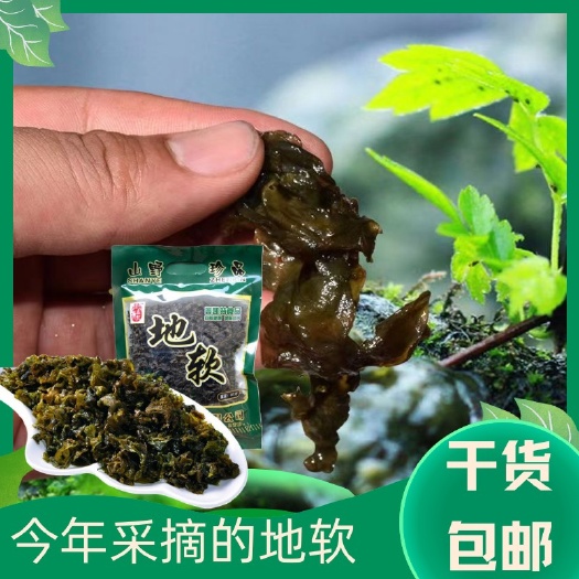 安康地皮菜地软