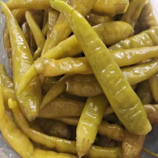 金乡县酱腌菜  腌制杭椒，辣椒