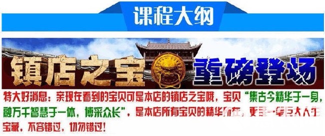 养鸡养鸭养鹅视频教程农村创业家禽养殖技术培训课程疾病防治教学