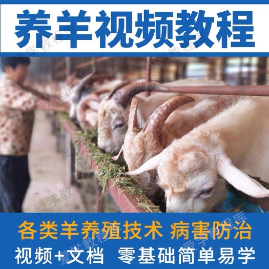 苏州养猪牛羊技术大全教程山羊绵羊肉羊羊病防治技术全套资料饲养养