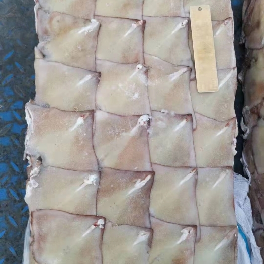 荣成市鱿鱼耳